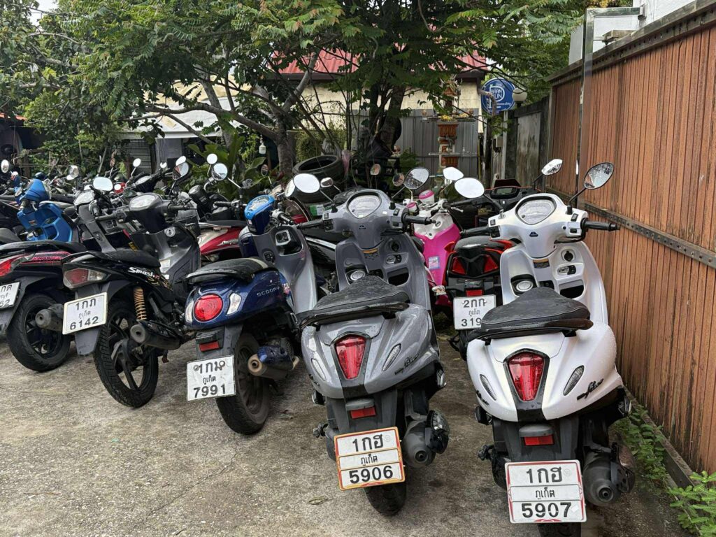 ภาพรถยนต์ที่สนามบินภูเก็ต
รถเช่าภูเก็ตใกล้สนามบิน บริการรับ–ส่งฟรี 24 ชั่วโมง ราคาถูก
ภาพรถยนต์กับชายหาดภูเก็ต
รถเช่าภูเก็ตใกล้ฉัน ขับเที่ยวชายหาดภูเก็ต ราคาประหยัด
ภาพรถมอเตอร์ไซค์เช่าในภูเก็ต
เช่ามอเตอร์ไซค์ภูเก็ต ใกล้สนามบิน เริ่มต้น 150 บาท/วัน
ภาพรถยนต์ 7 ที่นั่ง (ครอบครัว)
รถเช่าภูเก็ต 7 ที่นั่ง เหมาะสำหรับครอบครัวหรือกลุ่มเพื่อน
ภาพรถไฟฟ้า EV Aion U
รถเช่าภูเก็ต EV รถไฟฟ้า ประหยัดพลังงาน วิ่งไกล ขับสนุก
ภาพพนักงานบริการที่สนามบิน
พนักงานต้นรถเช่าภูเก็ต บริการรับลูกค้าที่สนามบินภูเก็ต
ภาพโปสเตอร์โปรโมท รถเช่าภูเก็ตใกล้ฉัน
โปสเตอร์ประชาสัมพันธ์รถเช่าภูเก็ตใกล้ฉัน ดีไซน์สวยงาม