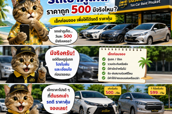 แมวพนักงานร้านต้นรถเช่าภูเก็ตแนะนำรถเช่าราคาประหยัด พร้อมรถยนต์หลายรุ่นและข้อความให้ตรวจสอบเงื่อนไขก่อนจอง เพื่อให้ได้รถดี ราคาคุ้ม